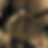 [Nutabu.com] Lien & Mira Cuckold - Shades Of Lust [2014 ., All Girl, Strapon, Fisting, Close Ups, Stockings, Breasts, Shaved, 1080p] thumbnail
