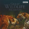 Sir David Attenborough Great Wildlife Moments 2003 DVDRiP XViD-PiX thumb