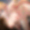 Nerawareta Megami Tenshi Angeltia: Mamotta Ningentachi ni Uragirarete /  -  ~ ,   (PoRO) (ep. 1-2 of 2) [cen] [2014 ., Big tits, Oral sex, Mystic, School, Rape, Tentacles, 2x DVD5] [jap] thumbnail