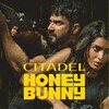 Citadel Honey Bunny S01E05 720p WEB H264-SKYFiRE thumb