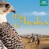 Wild Arabia (2013) Season 1 S01 (1080p BluRay x265 HEVC 10bit AAC 5 1 Silence) QxR thumb