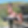 Hooterville (1995) thumbnail