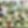 Decibelle - Megapack (86 videos, 169 images) thumbnail