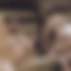 [PureTaboo.com] Maya Kendrick & Dee Williams (Swapping Daughters: The Other Family ) [2019, Gonzo Hardcore All Sex Foursome 1080p] thumb