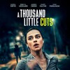 A Thousand Little Cuts 2022 720p WEB H264-RABiDS thumb