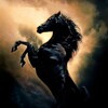 Young Black Stallion [2003] / MPEG2 / MKV / DVD / SD / AC3 / Subs thumb