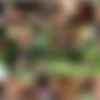[CzechGardenParty.com / CzechAV.com] CZECH GARDEN PARTY 1 (2014 .) [Group Sex, Hardcore, Party, Orgy, Swingers, Amateurs, Outdoors] thumb