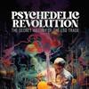 Psychedelic Revolution: The Secret History of the LSD Trade [2023] / H264 / MKV / WEB / 720p / AAC / Subs / FEYNMANIUM thumb