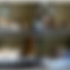 [2009 ., Amateur, Oral, Voyeur, CamRip] thumb