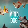 Inside the Mind of a Dog 2024 1080p WEB h264-EDITH thumb