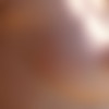 [PlayboyPlus.com] 2020 Laura Devushcat - Soft Bloom 06.01.20 [Erotic] [1080p] thumb