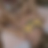 [fuckstudies.com] Aina (KATARINKA) 2010-10-03 [2010 ., Anal, Teen, 720p] thumb