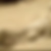 [MudPuddleVisuals.com] MPV - Premial MiniPack / MPV - - (3 vids, Dave Lodoski, Mud Puddle Visuals) [2013 ., WAM, Fetish, 720p, HDRip] thumbnail