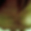 Teen Kitty [Amateur] [ 500*375  4608*3456, 299  + ] thumb