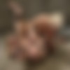 [ElectroSluts.com / Kink.com] Lorelei Lee & Ashley Fires (It's Ashley Fires Turn to Dish out the Worship! / 01.08.2012) [2012 ., BDSM, Electric, Bondage, Hardcore, Domination, Lesbians, HDRip, 720p] thumb