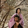 Under the Blossoming Cherry Trees [1975] / H264 / MKV / DVD / SD / AC3 / Japanese / Subs / BmP thumb