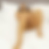 [AllOver30.com] Ana B (6 ) Pack [2024, Brunette, MILF, Mature, Softcore] thumbnail