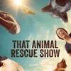 That Animal Rescue Show S01 1080p WEB h264-KOGi thumb