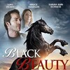 Black Beauty [2015] / H264 / MKV / WEB / 1080p / AC3 / TWA thumb