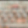 [WOWGIRLS.COM] Image siterip, 622 sets [2018, 2019] thumb