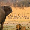 Cecil The Legacy Of A King 2020 1080p WEB H264-CBFM thumb