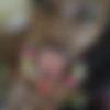 [ATKGirlfriends.com] Noemie Bilas (Hawaii 2/14) [2019 ., Creampie, Black (Ebony), Interracial, POV, Blowjob, Footjob, All sex, 2160p, 4k] thumb