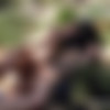 [SexWithMuslims.com] Elena Vega - CUM ON HER NIQAB (26.04.2019) [All Sex, Blowjob, 1080p] thumbnail