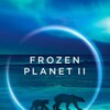 Frozen Planet II S01 2160p UHD BluRay REMUX HDR10 HEVC DTS-HD-MA 5 1-UnKn0wn thumb