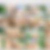 [AssTraffic.com / PerfectGonzo.com] Lolla aka Lola Jones, Lola Shine (04.12.2016) [Anal Sex, SiteRip] thumb