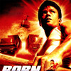 Born to Fight [2004] / H264 / MKV / WEB / 1080p / AC3 / Thai / Subs / deeplife thumb