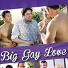 Big Gay Love [2013] / H264 / MKV / WEB / 1080p / AC3 / Subs / AD3PT thumb