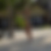 [OnlyFans.com] Blanche Bradburry (76 Clips & 272 Images) - @blanchebradburr - 2019/12/13 - 2021/01/01 thumb