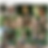 [Casualteensex.com]    (2 ) (  25.09.09) [2009, All Sex, Teens, Outdoor, Creampie] thumb