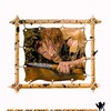 Man in the Wilderness [1971] / H264 / MKV / Blu-ray / 1080p / DTS / Subs thumb