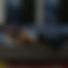 [ManyVids] [ManyVids] Houseofdebauchery - Date Night ft. Astro Domina thumbnail