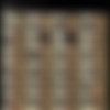 Tara Tainton Megapack thumb
