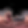 [VRedging / SexLikeReal.com] Gatita Veve - Give All Your Cum To Gatita [21.03.2025, Big Tits, Blonde, Blow Job, Cock Rubbing Pussy, Cowgirl, Edging, Hand Job, Hardcore, Nails, Oiled, Shaved Pussy, Silicone, Tattoo, Virtual Reality, SideBySide, 6K, 2880p, SiteRip] [Oculus Rift / Quest 2 / Vive] thumb