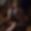 cynegetic Tumblr Rip thumb