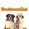 Beethoven's 2nd [1993] / H264 / MKV / Blu-ray / 720p / DTS / Scene / SPOOKS thumb