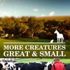 More Creatures Great and Small S01E06 1080p WEBRip x264-CBFM thumb