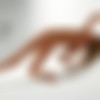 [Hegre.com] 2020.12.07 Darina L - Perfect Form [Glamour] [6720x5040, 39 photos] thumb