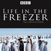 Sir David Attenborough Life in the Freezer 1993 DVDRip XviD-RUNNER thumb