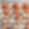 SpecialExamination.com [Siterip till August 2011] thumbnail