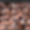 Shay Fox Megapack thumbnail