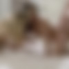 [PureTaboo.com] Christiana Cinn, Mackenzie Moss ( Close Your Eyes ) [2019, Gonzo Hardcore All Sex Threesome 1080p] thumb