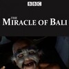 Sir David Attenborough The Miracle of Bali 1969 DVDRip XviD-RUNNER thumb