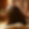 [2007 ., all sex, CamRip] thumb