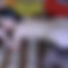 [FERRONETWORK.com / AnalSaga.com]     / Ellen F, Nicholas / g632 (16/08/2012) [2012, Russian, Oral, All Sex, Stockings, Anal, SiteRip, 720p] thumb