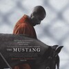 The Mustang 2019 1080p BluRay x264-OFT thumb