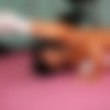 Cherokee (162) MegaPack / Cherokee [All Sex, Lesbian, Group, Interracial] thumbnail